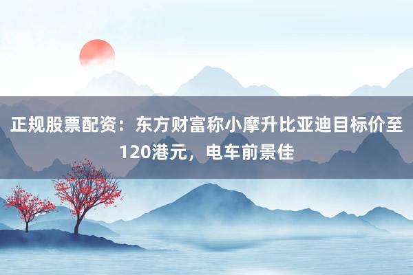 正规股票配资：东方财富称小摩升比亚迪目标价至120港元，电车前景佳