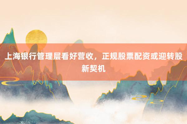 上海银行管理层看好营收，正规股票配资或迎转股新契机