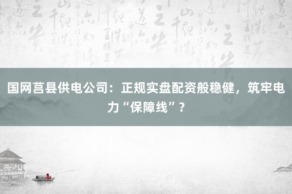 国网莒县供电公司：正规实盘配资般稳健，筑牢电力“保障线”？