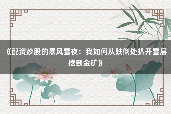 《配资炒股的暴风雪夜：我如何从跌倒处扒开雪层挖到金矿》
