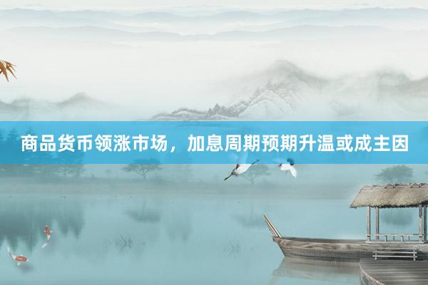 商品货币领涨市场，加息周期预期升温或成主因
