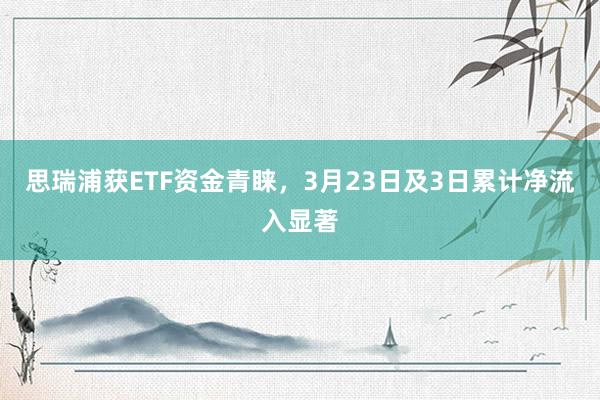 思瑞浦获ETF资金青睐，3月23日及3日累计净流入显著