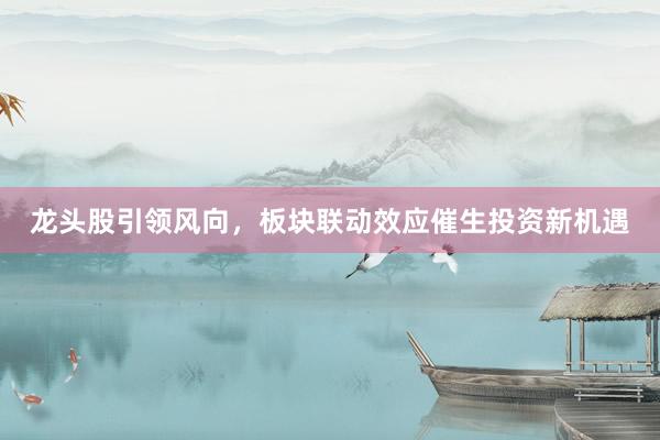 龙头股引领风向，板块联动效应催生投资新机遇