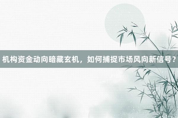 机构资金动向暗藏玄机，如何捕捉市场风向新信号？