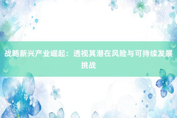 战略新兴产业崛起：透视其潜在风险与可持续发展挑战