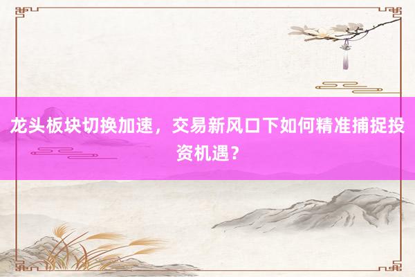 龙头板块切换加速，交易新风口下如何精准捕捉投资机遇？