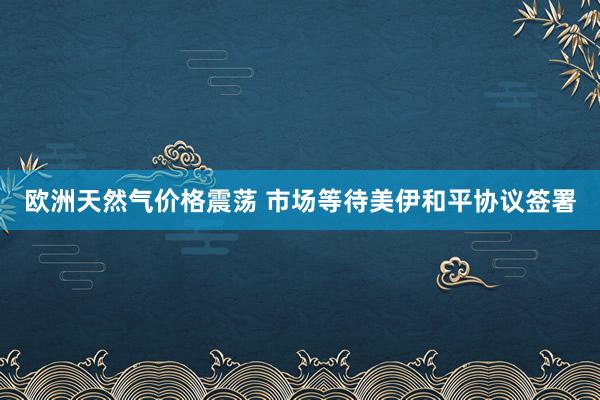 欧洲天然气价格震荡 市场等待美伊和平协议签署