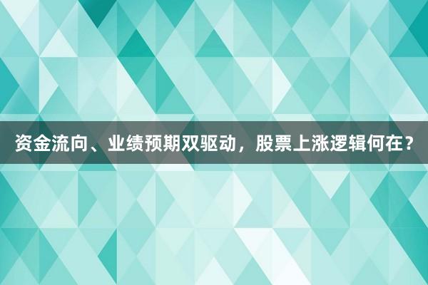 资金流向、业绩预期双驱动，股票上涨逻辑何在？
