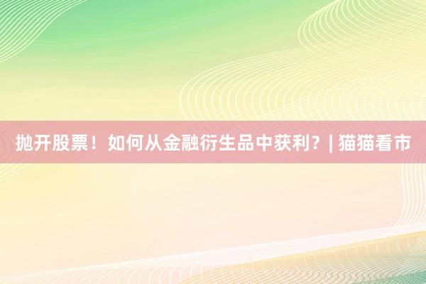 抛开股票！如何从金融衍生品中获利？| 猫猫看市