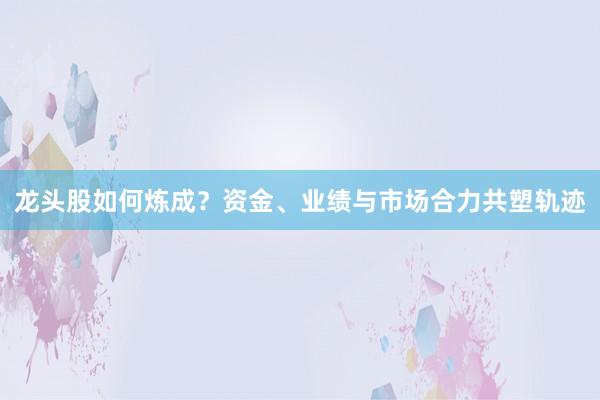 龙头股如何炼成？资金、业绩与市场合力共塑轨迹