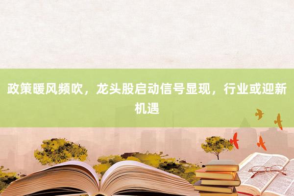 政策暖风频吹，龙头股启动信号显现，行业或迎新机遇