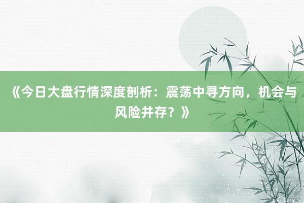 《今日大盘行情深度剖析：震荡中寻方向，机会与风险并存？》