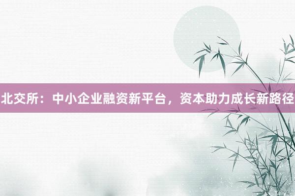 北交所：中小企业融资新平台，资本助力成长新路径