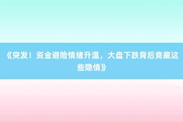 《突发！资金避险情绪升温，大盘下跌背后竟藏这些隐情》
