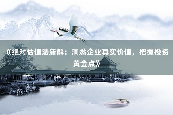 《绝对估值法新解：洞悉企业真实价值，把握投资黄金点》