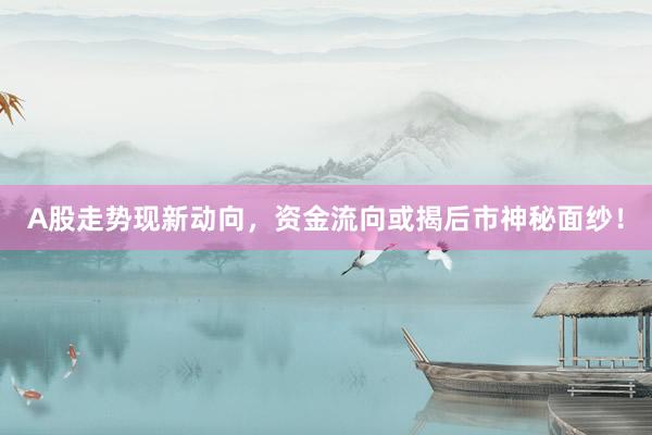 A股走势现新动向，资金流向或揭后市神秘面纱！