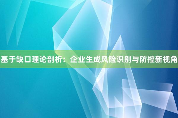 基于缺口理论剖析：企业生成风险识别与防控新视角